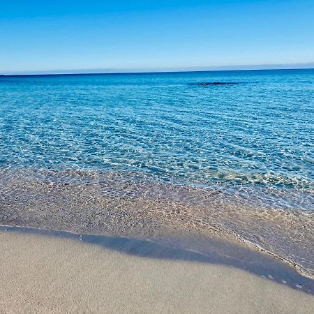 Domaine A Mortella Saint-Florent  Bagian luar foto