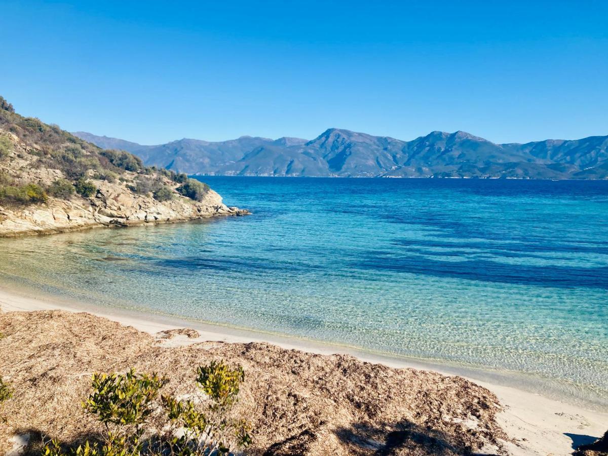 Domaine A Mortella Saint-Florent  Bagian luar foto