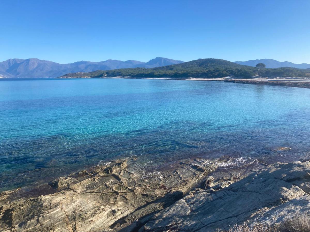 Domaine A Mortella Saint-Florent  Bagian luar foto